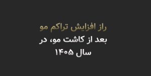 تراکم در کاشت مو چیست؟ راز افزایش تراکم مو بعد از کاشت، در سال ۱۴۰۵